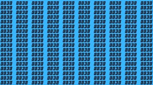 Observation Skills Test: Can you find the number 8888 among 8838 in 10 seconds?