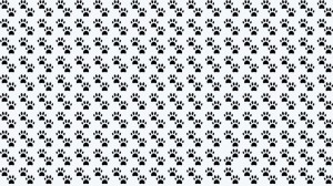 Observation Skills Test: Can you spot which Pawprints are different in 10 seconds?