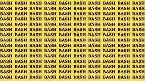 Observation Skills Test: If you have Hawk Eyes Find the word Rash among Bash in 12 Secs