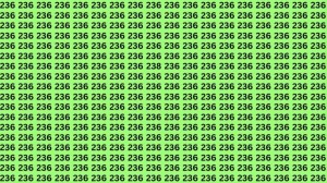 Optical Illusion Brain Test: If you have Eagle Eyes Find the Number 236 among 238 in 15 seconds?