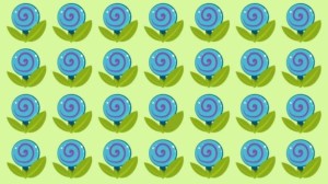 Optical Illusion Challenge: Only Genius Can Find the Hidden Candy Among the Blue Flowers within 15 seconds?