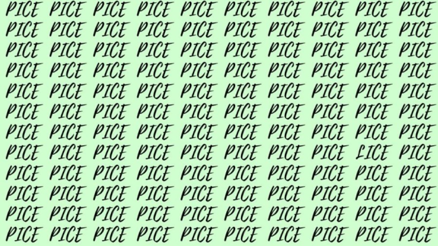 Optical Illusion: If you have Eagle Eyes find the Word Lice among Pice in 20 Secs