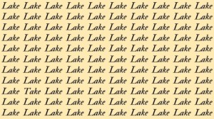 Optical Illusion: If you have Hawk Eyes find the Word Take among Lake in 15 Secs