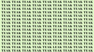 Optical Illusion: If you have Sharp Eyes find the Word Leak among Teak in 12 Secs