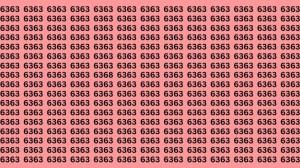 Optical Illusion: If you Hawks Eyes find the Number 6368 among 6363 in 13 seconds?