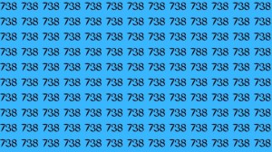 Optical Illusions: Can you find the number 788 among 738 in 10 seconds?