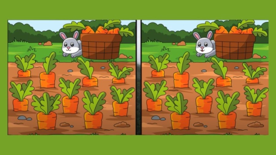 Spot the difference: Only a Genius can Find the 5 Differences in less than 25 seconds!