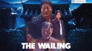 The Wailing Ending Explained, Plot, Cast, and More