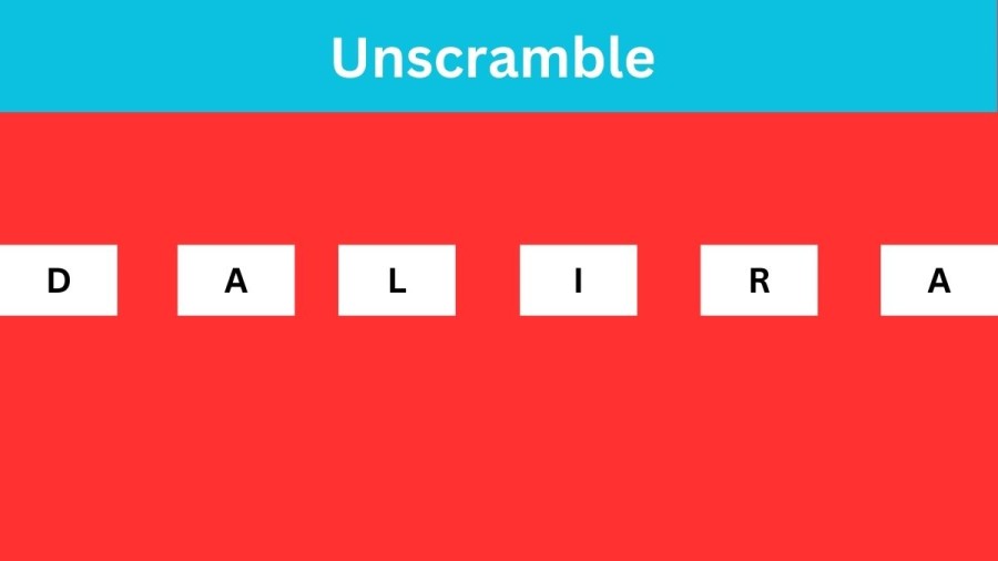 Unscramble DALIRA Jumble Word Today