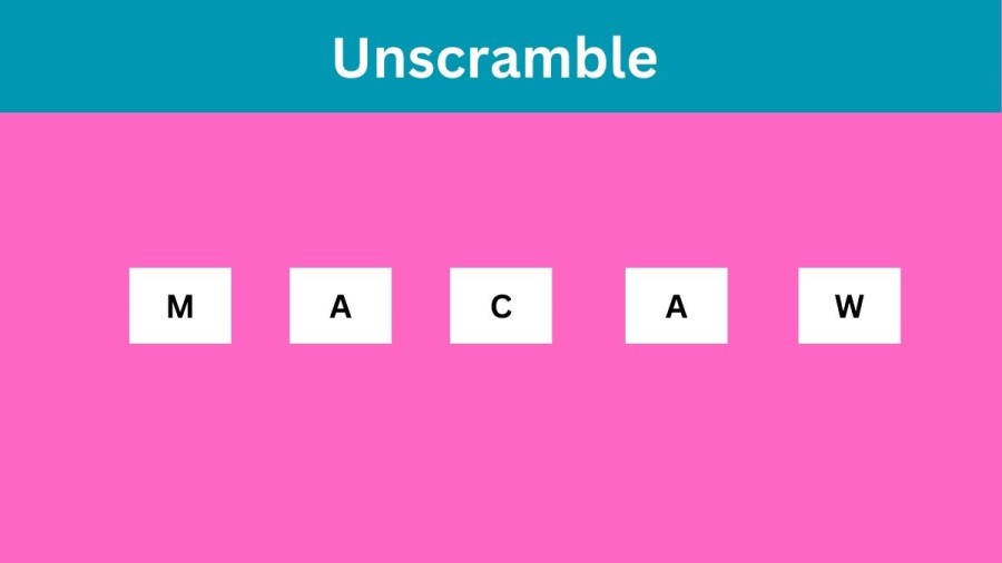 Unscramble MACAW Jumble Word Today