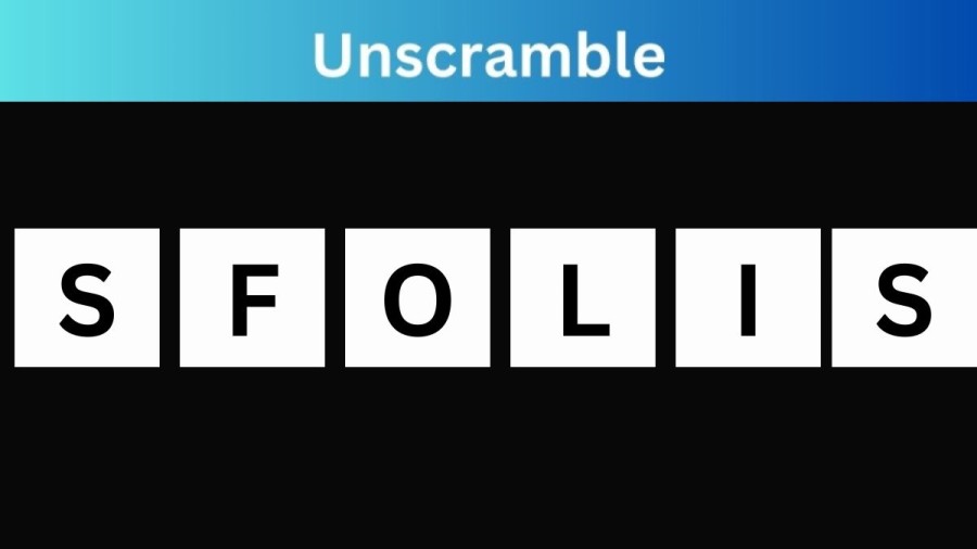 Unscramble SFOLIS Jumble Word Today