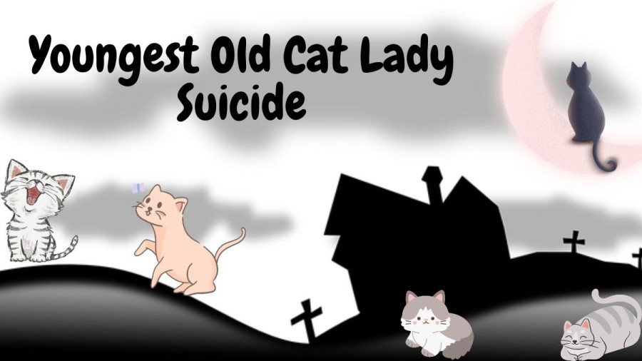 Youngest Old Cat Lady Suicide, What Happened to Ashley Morrison? Who is Ashley Morrison Cat Lady?