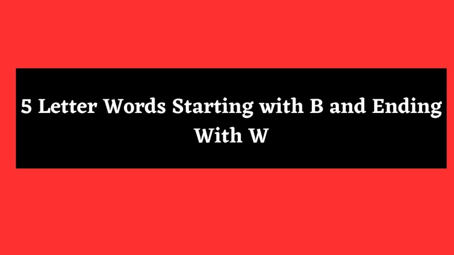 5 Letter Words Starting with B and Ending With W - Wordle Hint