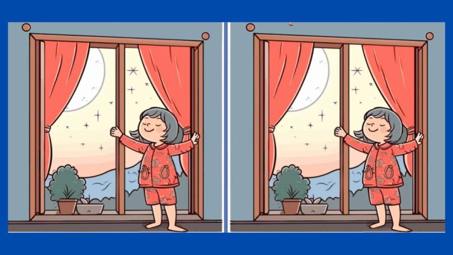 Brain Teaser Eye Test - Can You Find 3 Differences In These Pictures? Picture Puzzle