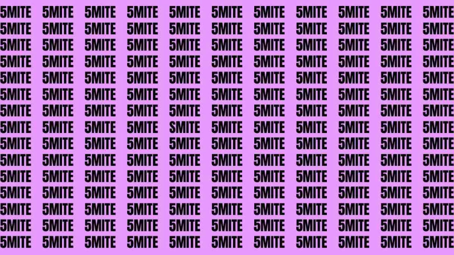 Brain Teaser: If you have Sharp Eyes Find the Word Smite in 20 Secs