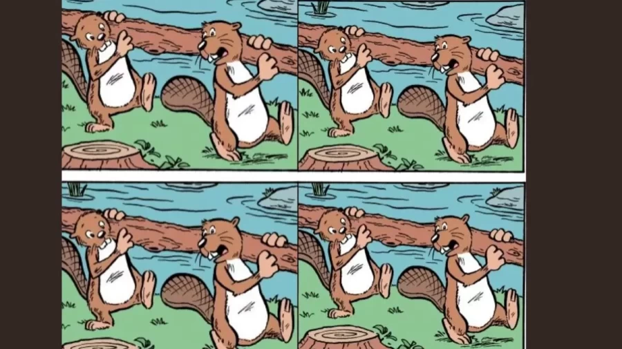 Brain Teaser Picture Puzzle: Can You Spot the Difference between the Two Pictures?