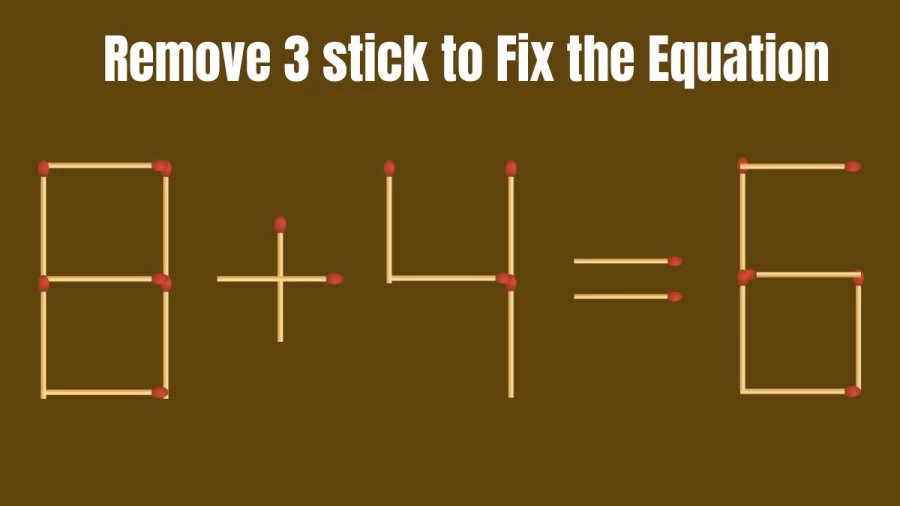 Brain Teaser: Remove 3 Matchsticks and Fix this Equation 8+4=6 | Tricky Matchstick Puzzle