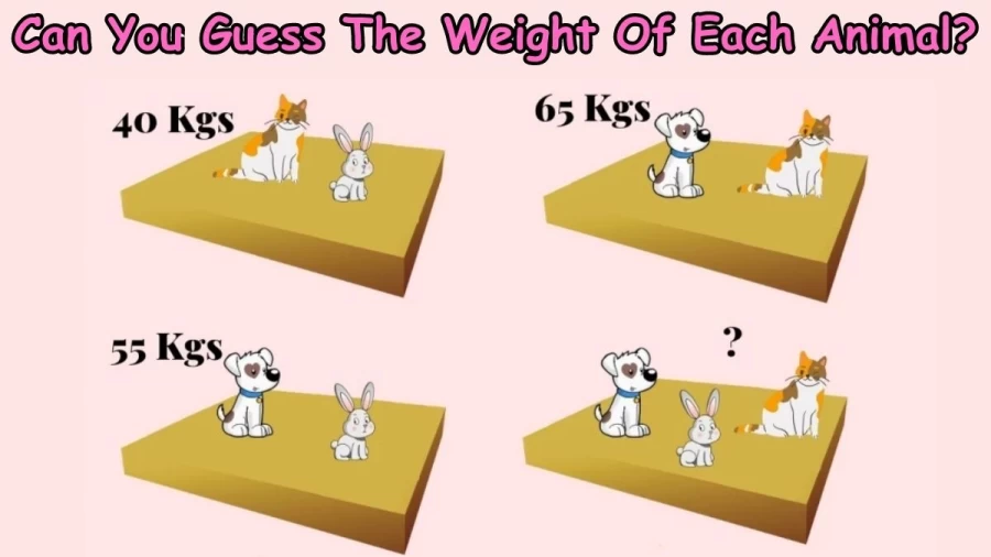 Brain Teaser Math Test: Can You Guess The Weight Of Each Animal 25 Secs?