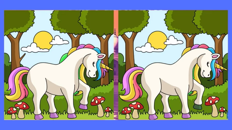 Brain Teaser Spot the Difference Puzzle: Can you Spot 3 Differences in these Pictures?