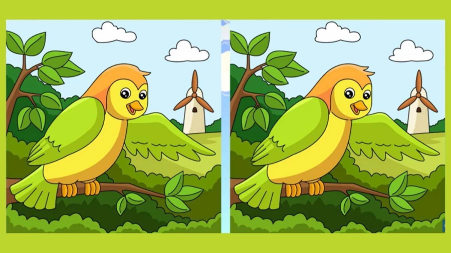 Brain Teaser Spot the Difference Puzzle: Can you Spot 3 Differences in these Pictures?