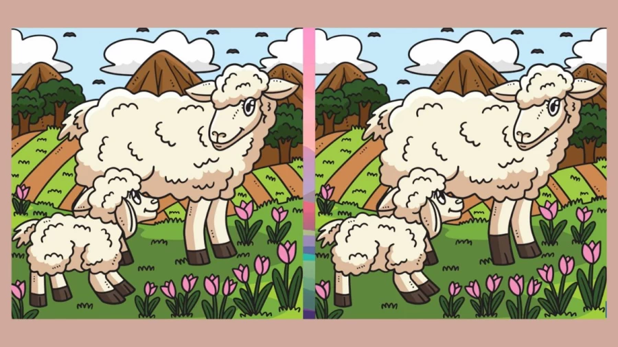 Brain Teaser Spot the Difference Puzzle: Can you Spot 3 Differences in these Pictures?