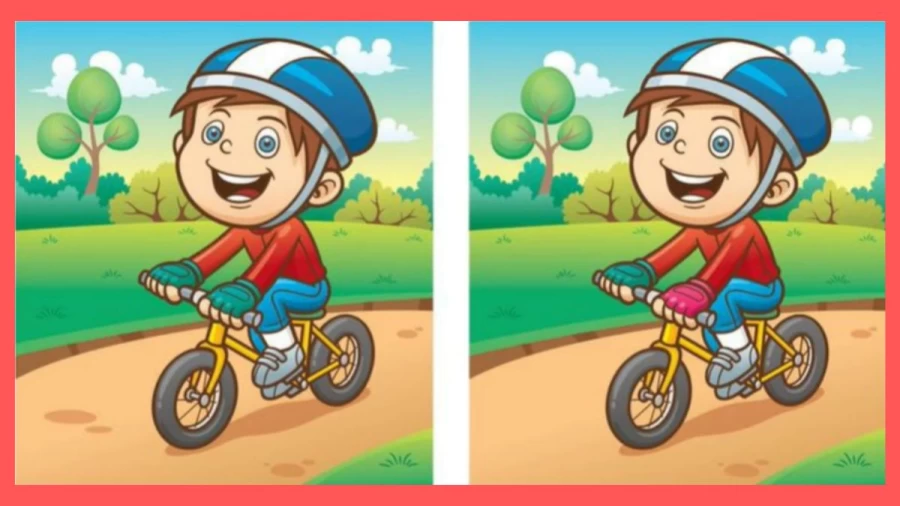 Brain Teaser Spot the Difference Puzzle: Can you Spot 5 Differences in these Pictures?