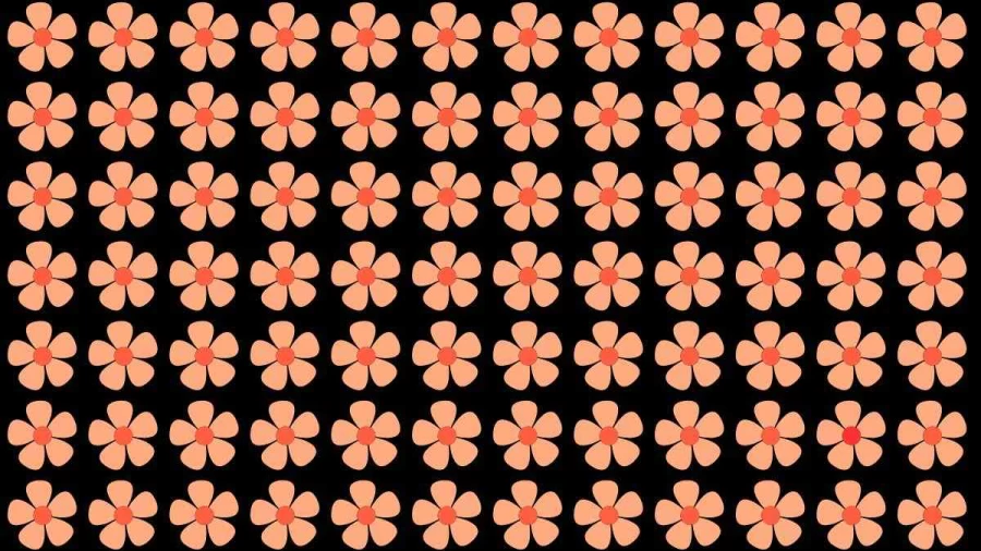 Brain Teaser Vision Test: Can you spot and Find the Odd One Out in this Picture?