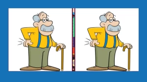 Brain Teaser Visual Test: Only a Genius Can Find the 3 Differences in less than 20 seconds!