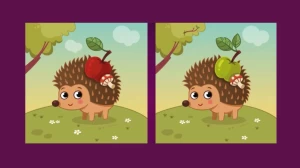 Brain Teaser Visual Test: Only a Genius can Find the 5 Differences in less than 25 seconds!