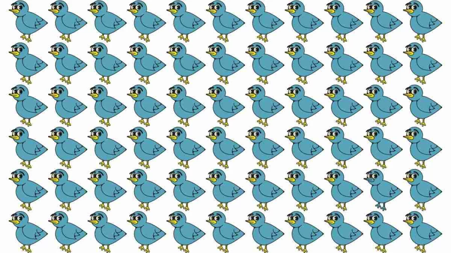 Brain Test: Can you spot the Odd One Out in this Image? Picture Puzzle