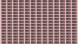 Brain Test: If you have Eagle Eyes Find the Number 2028 among 2023 in 15 Secs