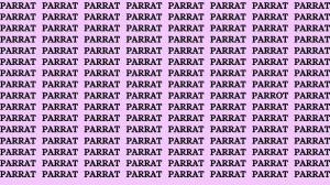 Brain Test: If you have Eagle Eyes Find the word Parrot in 15 Secs