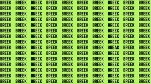 Brain Test: If you have Hawk Eyes Find the Word Break among Breek in 18 Secs