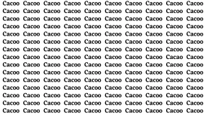 Brain Test: If you have Hawk Eyes Find the Word Cacao in 15 Secs