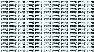 Brain Test: If you have Sharp Eyes Find the Word Bung among Pung in 15 Secs