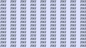 Can You Spot 2058 among 2068 in 7 Seconds? Explanation And Solution To The Optical Illusion