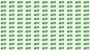 Can You Spot 6069 among 6059 in 5 Seconds? Explanation And Solution To The Optical Illusion