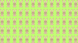 Can you Spot the Odd Rabbit in this Image Within 13 Secs? Explanation and Solution to the Optical Illusion