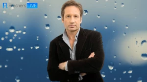 David Duchovny Religion What Religion is David Duchovny? Is David Duchovny a Jewish ?