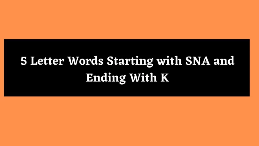 5 Letter Words Starting with SNA and Ending With K - Wordle Hint