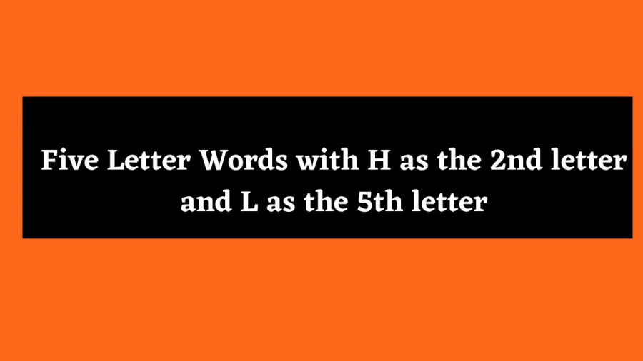 5 Letter Words with H as the 2nd letter and L as the 5th letter - Wordle Hint