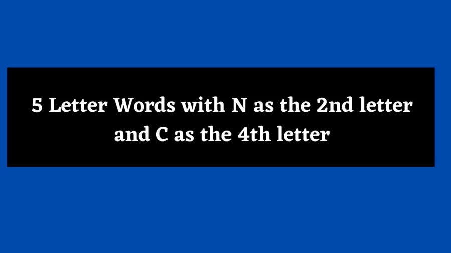 5 Letter Words with N as the 2nd letter and C as the 4th letter - Wordle Hint