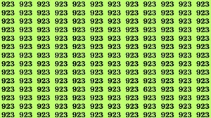 Observation Brain Test: If you have Eagle Eyes Find the Number 623 among 923 in 12 Secs