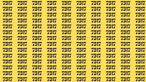 Observation Brain Test: If you have Eagle Eyes Find the Number 7317 among 7517 in 12 Secs