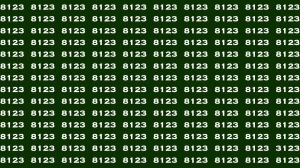 Observation Brain Test: If you have Hawk Eyes Find the Number 3123 among 8123 in 15 Secs