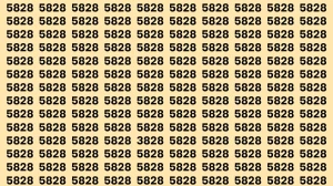 Observation Brain Test: If you have Hawk Eyes Find the Number 3828 among 5828 in 15 Secs