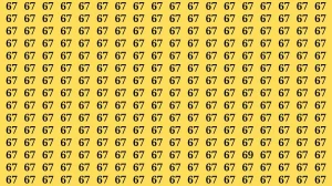 Observation Brain Test: If you have Hawk Eyes Find the Number 69 among 67 in 15 Secs