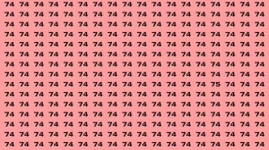 Observation Brain Test: If you have Hawk Eyes Find the Number 75 among 74 in 15 Secs