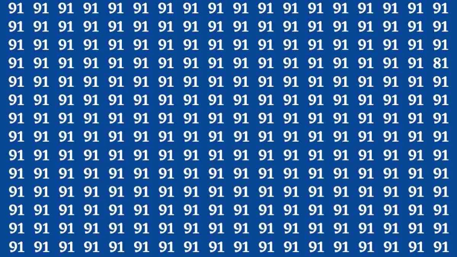 Observation Brain Test: If you have Hawk Eyes Find the Number 81 in 15 Secs