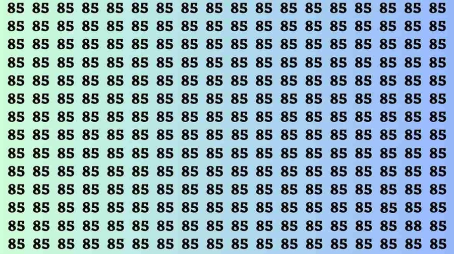 Observation Brain Test: If you have Hawk Eyes Find the Number 88 in 15 Secs